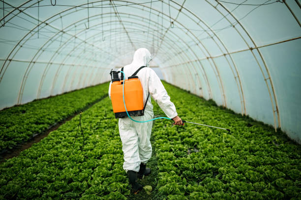 Best Pest Control Near Me  in Englewood, FL