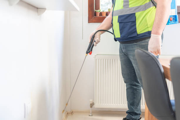 Best Ant Control Services  in Englewood, FL